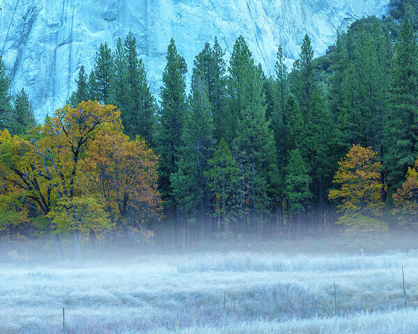 Nature Poster featuring the photograph Fog-Frost-Fall by Jonathan Nguyen