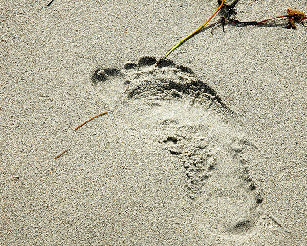 Footprint Poster featuring the photograph Footprint in the Sand - South Beach Miami by Frank Mari