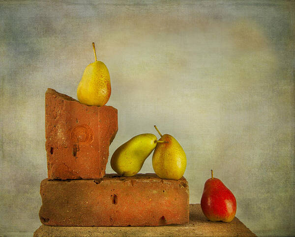 Dutch Masters Poster featuring the photograph Forelle Pears by Theresa Tahara