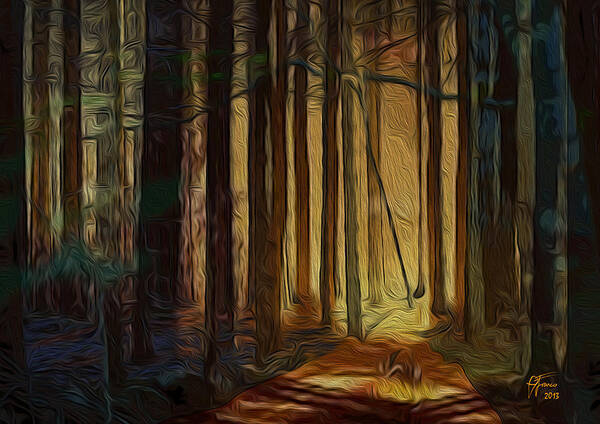 Artwork For Sale Poster featuring the digital art Forrest sun by Vincent Franco