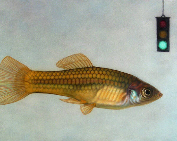 Fish Poster featuring the painting Go Fish by James W Johnson