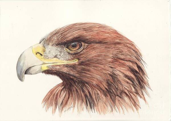 Golden Poster featuring the painting Golden Eagle by Morgan Fitzsimons