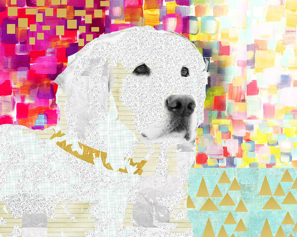 Golden Poster featuring the mixed media Golden Retriever Collage by Claudia Schoen