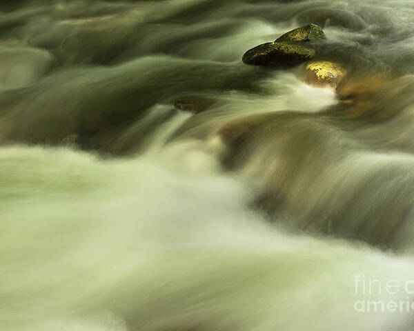 River Poster featuring the photograph Golden River by Mike Eingle