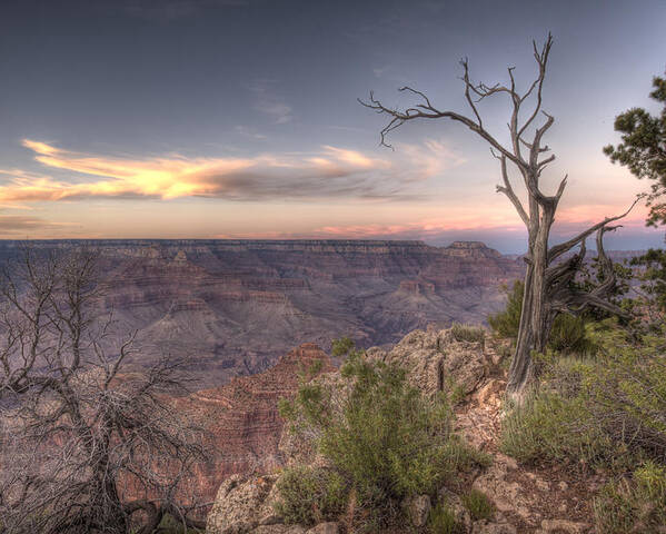 Grand Canyon Poster featuring the photograph Grand Canyon 991 by Michael Fryd