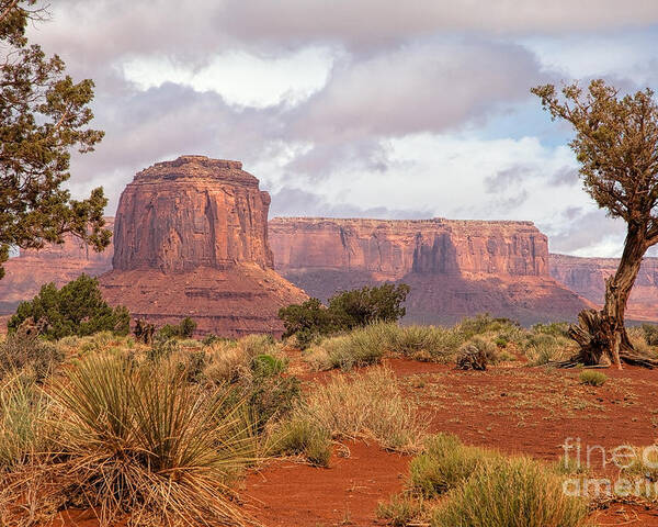 Monument Valley Print Poster featuring the photograph Grandview by Jim Garrison