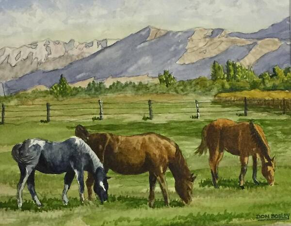 Horses Poster featuring the painting Green Acres by Don Bosley
