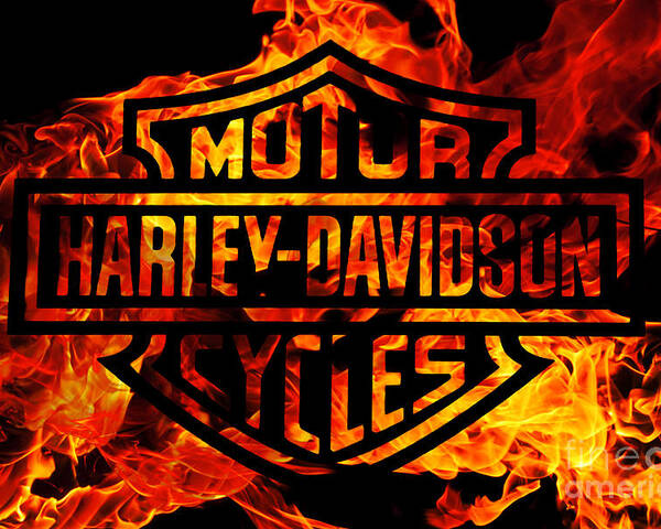  Harley  Davidson  Logo  Flames Poster by Randy Steele