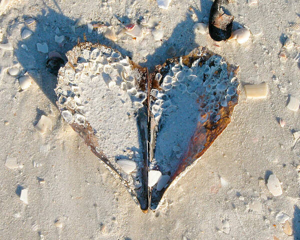 Heart Poster featuring the photograph Heart on the Beach by Mike Evangelist