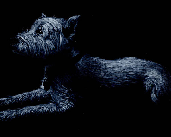 Terrier Poster featuring the painting Highland Terrier by John Neeve