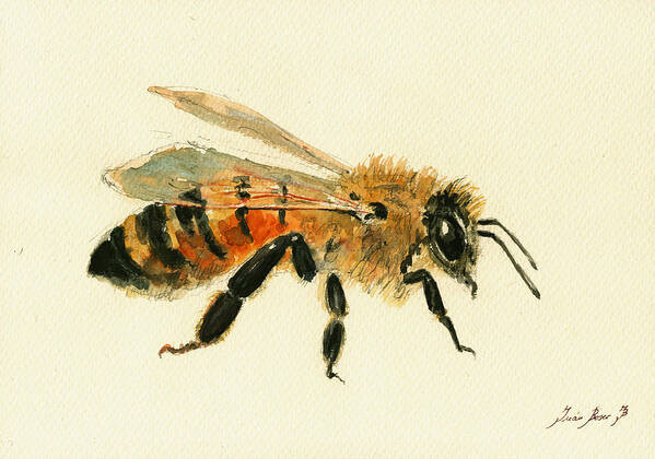 Honey Bee Art Poster featuring the painting Honey Bee painting by Juan Bosco