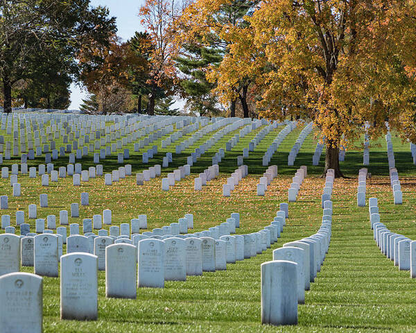 Jefferson Barracks National Cemetery Poster featuring the photograph Honoring Americans by Holly Ross