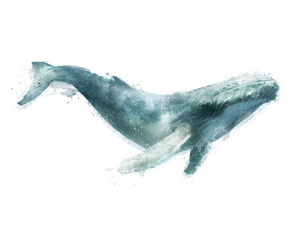 Humpback Poster featuring the painting Humpback Whale from Whales Chart by Amy Hamilton