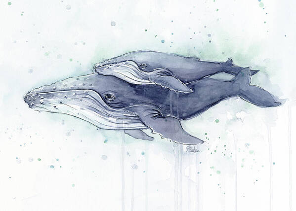 Whale Poster featuring the painting Humpback Whales Painting Watercolor - Grayish Version by Olga Shvartsur