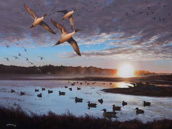 Duck Hunting Poster featuring the painting Humphrey Farm Pintails by Glenn Pollard