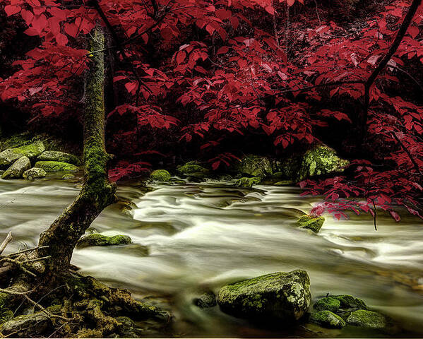 Tennessee Stream Poster featuring the photograph I'll Wait For Your Return by Mike Eingle