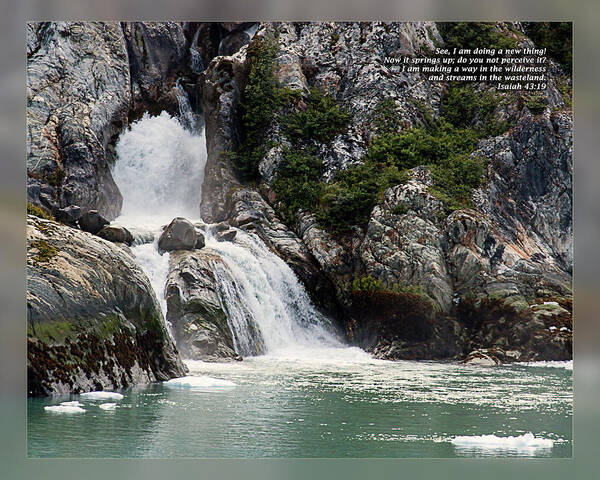 Bible Poster featuring the photograph Isaiah 43 19 by Dawn Currie