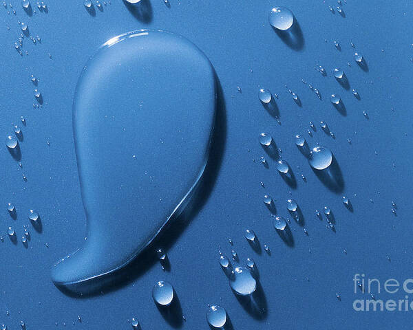 Water Poster featuring the photograph Large and small water droplets viewed from above by Simon Bratt
