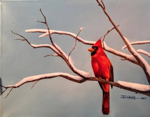 Birds Poster featuring the painting Last snow of winter, Cardinal by Dana Newman