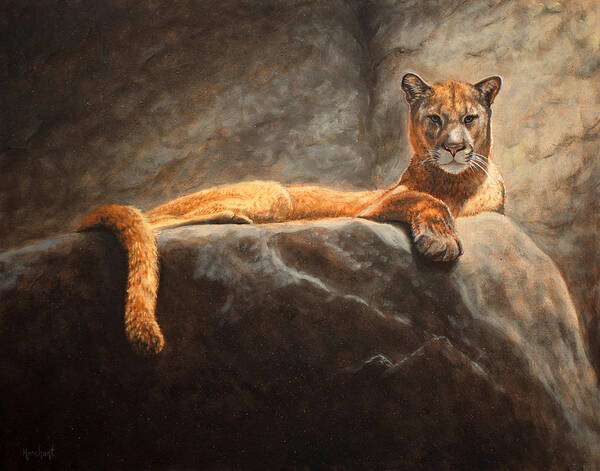 Cougar Poster featuring the painting Laying Cougar by Linda Merchant