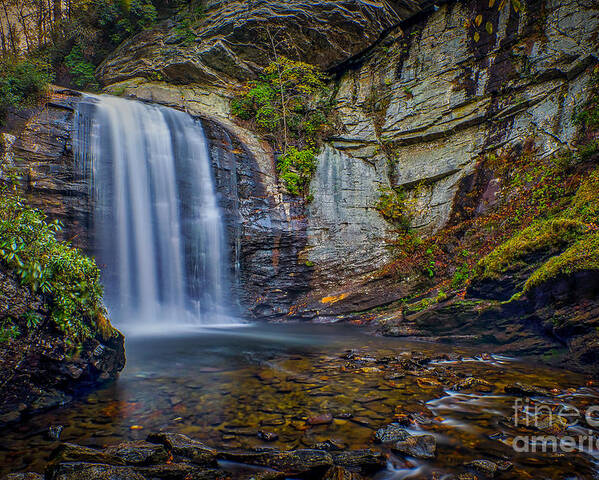 Waterfall Poster featuring the photograph Looking Glass Falls in the Blue Ridge Mountains Brevard North Carolina by T Lowry Wilson