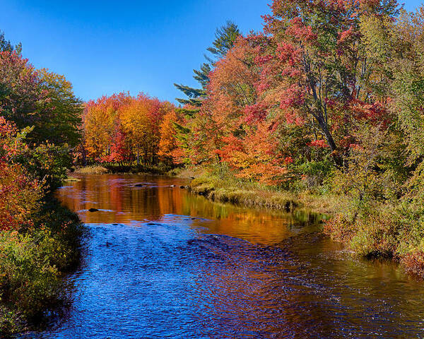 Maine Fall Colors Poster featuring the photograph Maine brook in Afternoon with fall color reflection by Jeff Folger