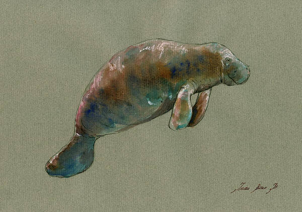 Manatee Poster featuring the painting Manatee watercolor art by Juan Bosco