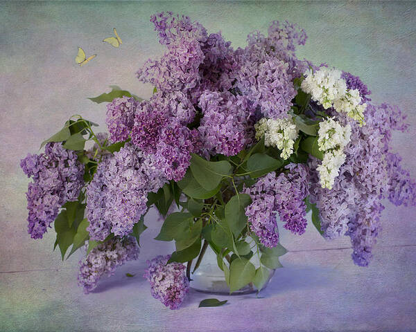Lilac Poster featuring the photograph Memories of my grandmother by Marina Kojukhova