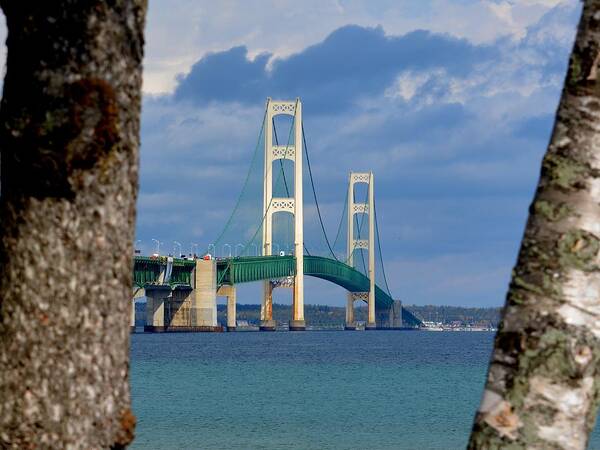 Mackinac Bridge Poster featuring the photograph Mighty Mac Framed by Trees by Keith Stokes