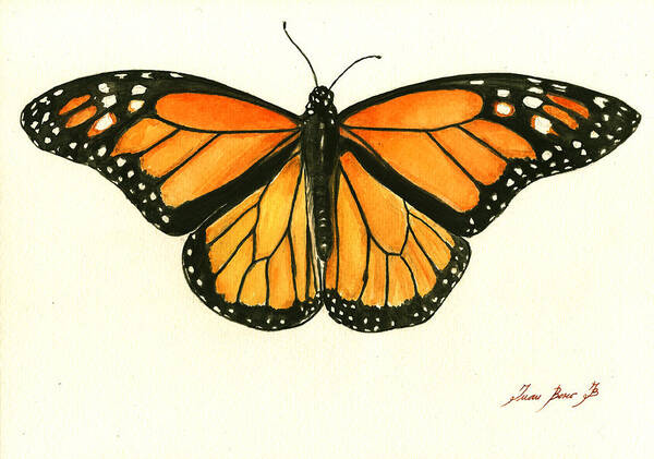  Monarch Butterfly Poster featuring the painting Monarch butterfly by Juan Bosco