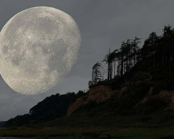 Landscape Poster featuring the photograph Moon at Roosevelt Beach WA by Bob Cournoyer