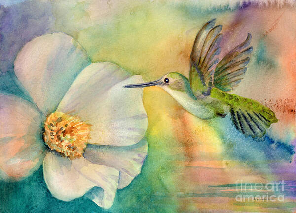 Hummingbird Poster featuring the painting Morning Glory by Amy Kirkpatrick