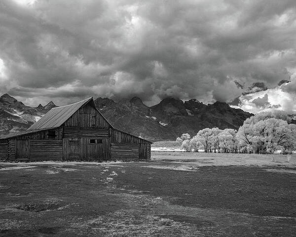 Barn Poster featuring the photograph Moulton Barn at the Tetons by John Roach