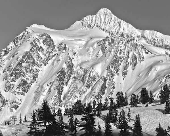 Mt Shuksan Poster featuring the photograph Mt Shuksan by Tony Locke