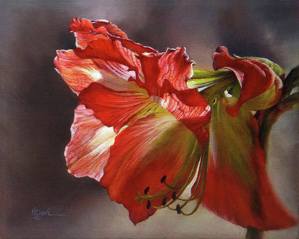 Mary Dove Art Poster featuring the painting My Amaryllis Coming Out of Shadows #2 by Mary Dove