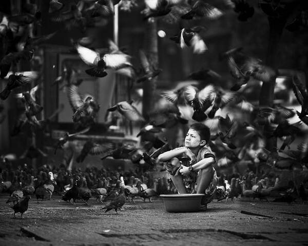 Boy Poster featuring the photograph Myanmar's Boy With Pigeons by Marcin Bublewicz