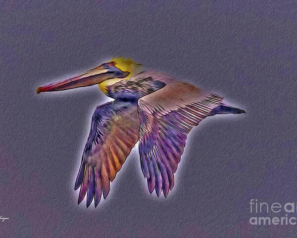 Brown Poster featuring the digital art Mystical Brown Pelican Soaring Spirit by DB Hayes