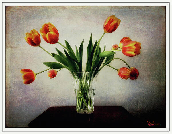Tulips Poster featuring the photograph Old World Tulips by Peggy Dietz