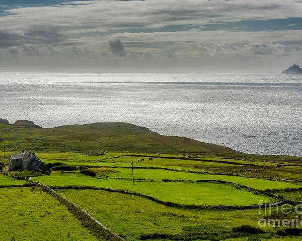Ireland Poster featuring the photograph Pastures at the Coast of Ireland by Andreas Berthold