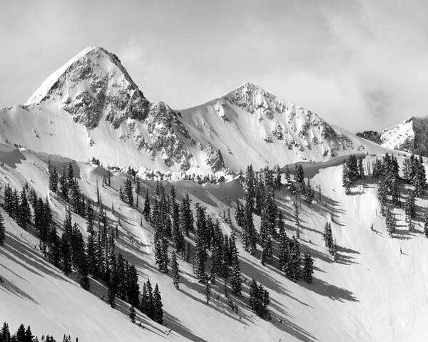 Black And White Poster featuring the photograph Pfeifferhorn - Little Cottonwood Canyon by Brett Pelletier