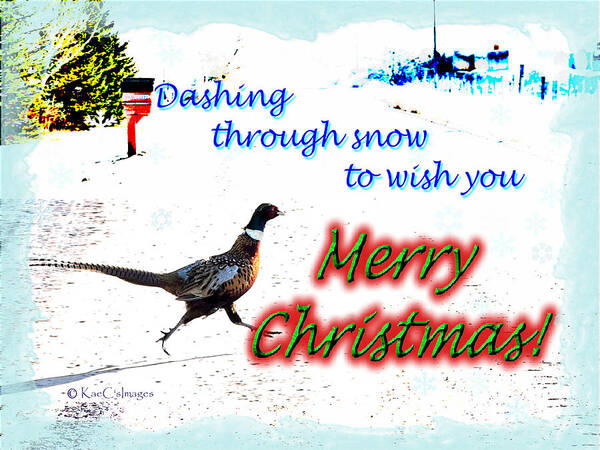 Greeting Card Poster featuring the digital art Pheasant Greeting by Kae Cheatham