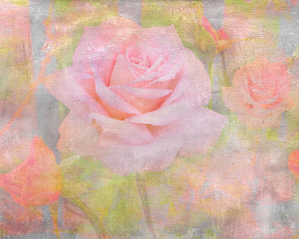 Rose Poster featuring the photograph Pink Delicacy by Marina Kojukhova