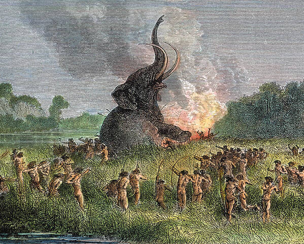 Prehistoric Mammoth Hunt Poster By Granger
