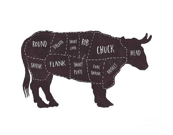 Beef Poster featuring the photograph Primitive Butcher Shop Beef Cuts Chart t-shirt by Edward Fielding