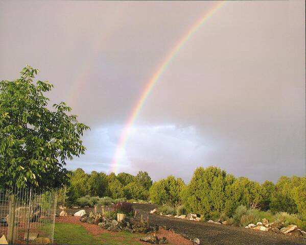 Rainbow Poster featuring the photograph Rainbows Blessing by Yolanda Lange