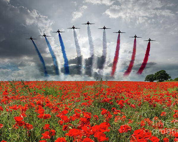 Red Arrows Poster featuring the digital art Red Arrows Poppy Field by Airpower Art