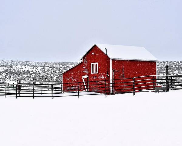 Red Poster featuring the photograph Red Barn in Winter by Amanda Smith