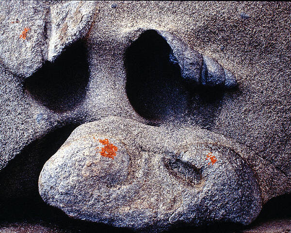 Face Poster featuring the photograph Rock Face by Ted Keller