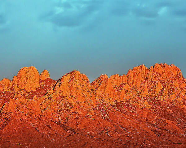 Organ Mountains Poster featuring the photograph Rose Mountains by Mike Stephens