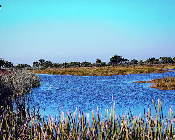 Nature Poster featuring the photograph Saint Marks National Wildlife Refuge Lagoon by DB Hayes